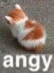 a                    n                    g                    y Meme Template