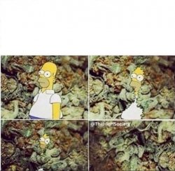 Pot Wall Homer Meme Template