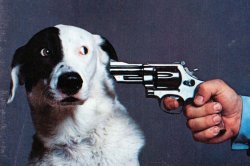 If You Don't, We'll Kill This Dog Meme Template