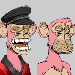 ape ha ha no Meme Template