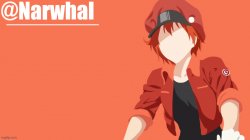 narwhal announcement temp Meme Template