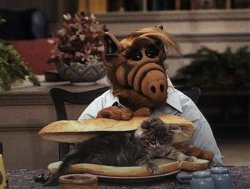 Alf Cat Sandwich Meme Template
