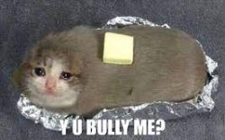 Y U BULLY me crying cat burrito Meme Template