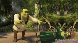 Shrek Fiona ritual Meme Template