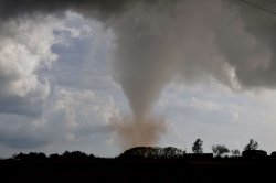 Tornado Meme Template