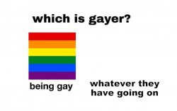 Which is gayer? Meme Template