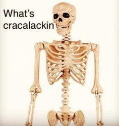 What's cracalackin Meme Template