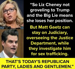 Liz Cheney vs. Matt Gaetz Meme Template