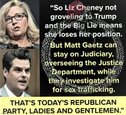 Liz Cheney vs. Matt Gaetz Meme Template