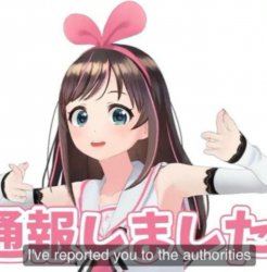 I've reported you to the authorities Meme Template