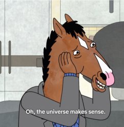 Horse man universe Meme Template