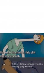 Long Neck Shaggy and Scooby-Doo Meme Template
