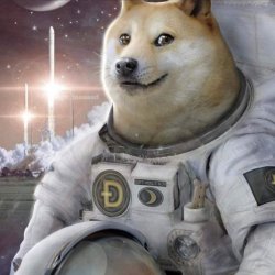 Astronaut Doge Meme Template