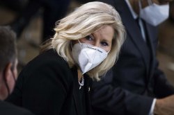 Liz Cheney face mask Meme Template