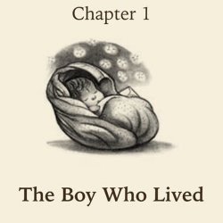 The boy who lived Meme Template