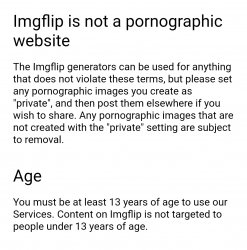 Imgflip is not a porn site Meme Template