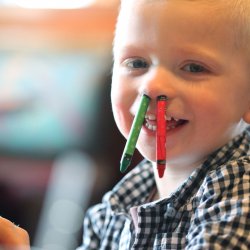 Designers Meme Template