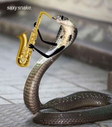 Saxy Snake Meme Template