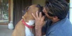 the shaw Meme Template