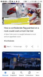 Racism is Bad Parenting Confederate Rock Skyline News Duo Meme Template