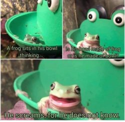 The Frog In the Frog Bowl Meme Template