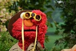 ELMO WITH BINOCULARS SESAME STREET Meme Template