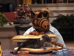 Alf eating cat sandwich Meme Template