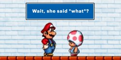 Mario and Toad: Wait, she said what? Meme Template