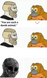 your such a dumb animal Meme Template