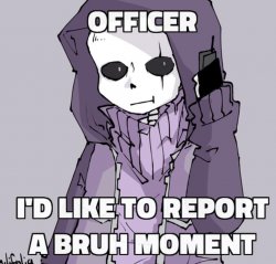 I'd Like To Report A Bruh Moment Meme Template