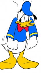 donald Meme Template