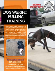 Dog weight pulling training Meme Template