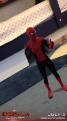 What the Spidey Meme Template