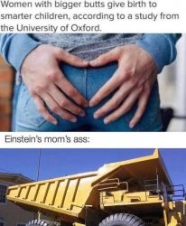 Einstein’s mom’s ass Meme Template