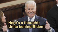 Unite behind Biden Meme Template