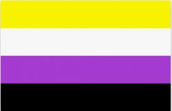 non binary flag Meme Template