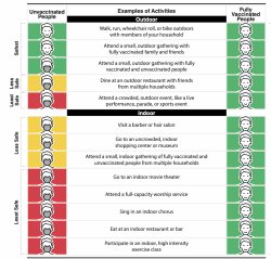 CDC mask guidelines Meme Template