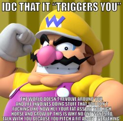 Idc that it “triggers you” Wario Meme Template