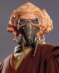 Plo Koon Meme Template