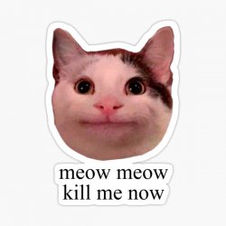 MEOW MEOW KILL ME NOW Meme Template