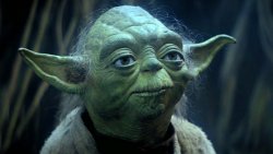 Yoda No Retry Meme Template