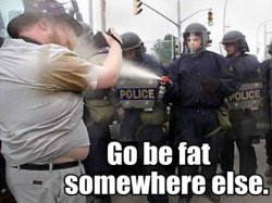 Police spraying fat man - go be fat somewhere else! Meme Template