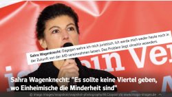 sahra wagenknecht afd Meme Template