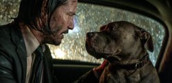 John Wick and Pup Meme Template