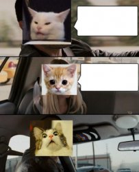 Cat driving Meme Template