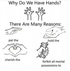 Why Do We Have Hands Meme Template