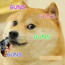 DOGE WITH GUNS Meme Template