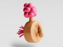 Plumbus Meme Template