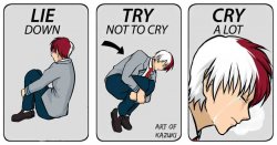 todoroki try not to cry Meme Template