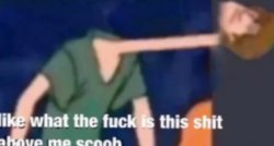 like what the frick Meme Template